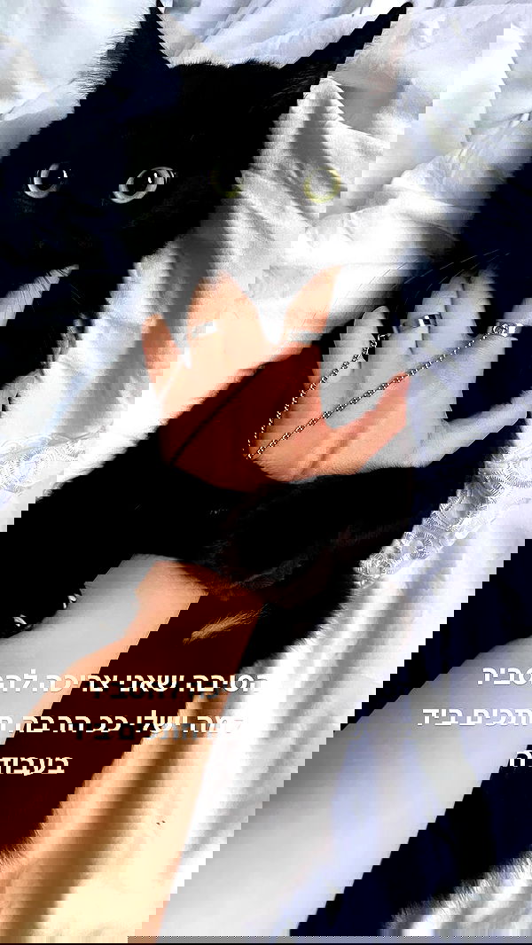 lissi77 lissi77 archive image