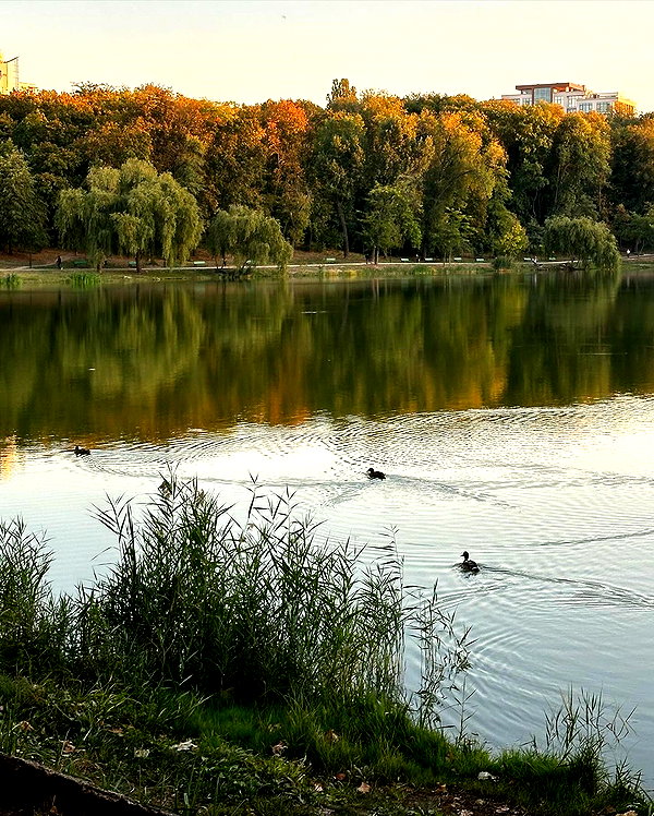 lisush_9 instagram image archive image