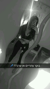 may__cohen__ Altpins Profile Picture