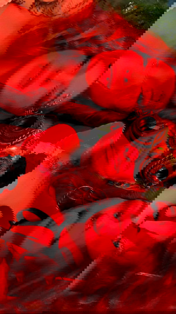 mishel116 mishel116 archive image