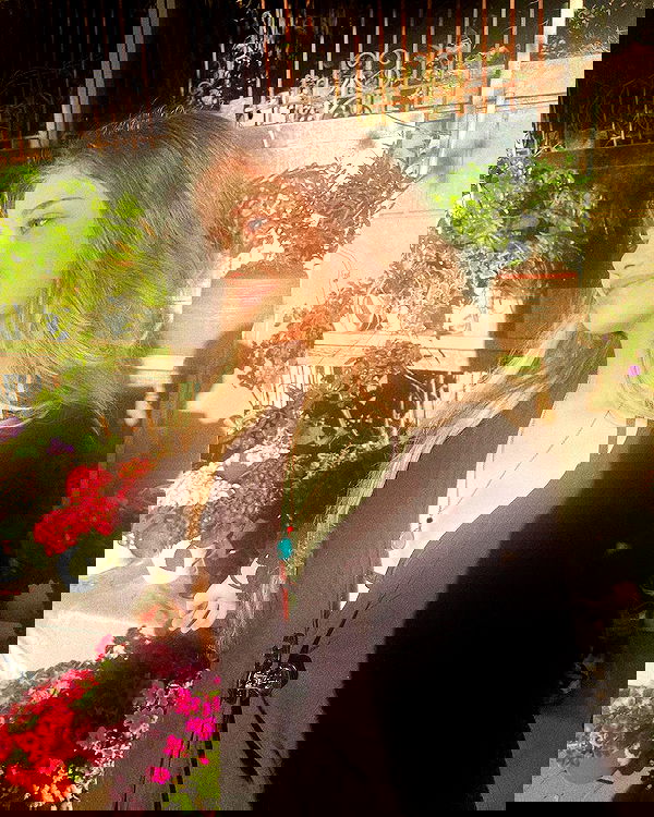 moonliliaght moonliliaght archive image