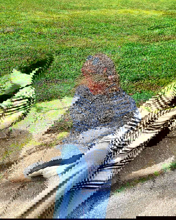 moonliliaght moonliliaght archive image