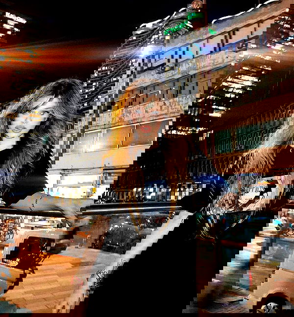 moonliliaght moonliliaght archive image