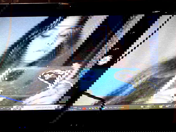 moonliliaght moonliliaght archive image