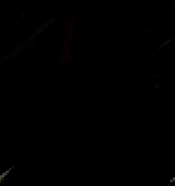 moonliliaght moonliliaght archive image