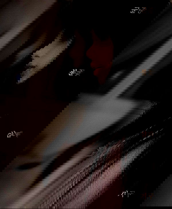 moonliliaght moonliliaght archive image