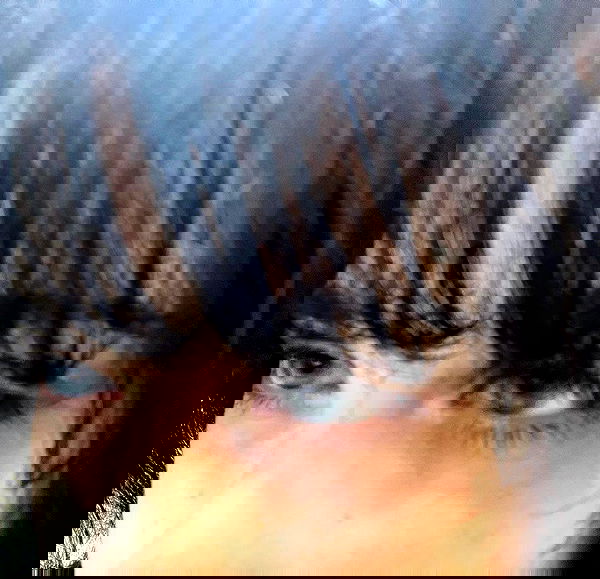 moonliliaght moonliliaght archive image