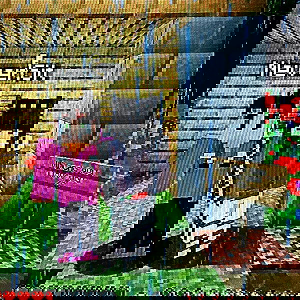 moonliliaght moonliliaght archive image