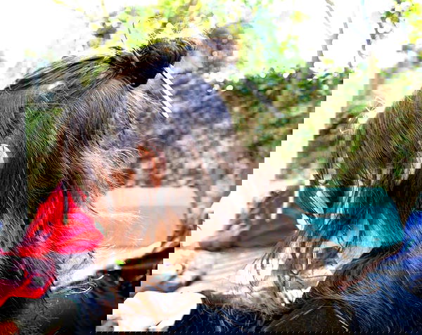 moonliliaght moonliliaght archive image