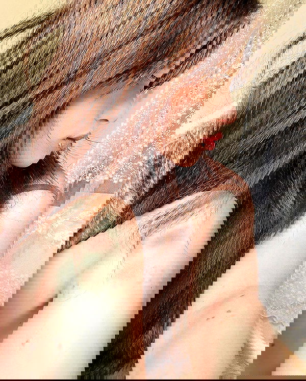 moonliliaght moonliliaght archive image