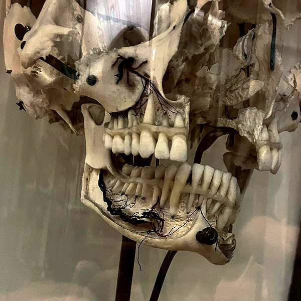 natahalieeee instagram image archive image