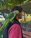 natahalieeee Altpins Profile Picture