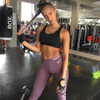 neta_alchimister Altpins Profile Picture