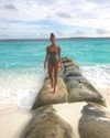 neta_alchimister Altpins Profile Picture