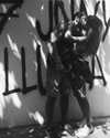 noam_alon1 Altpins Profile Picture