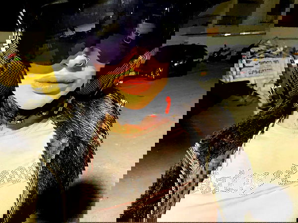 noyaislilith333 noyaislilith333 archive image