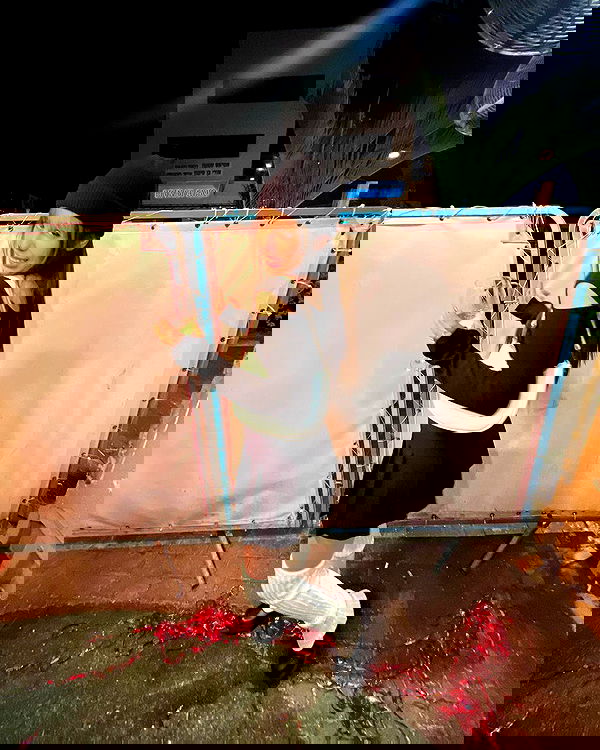 rinsrain rinsrain archive image