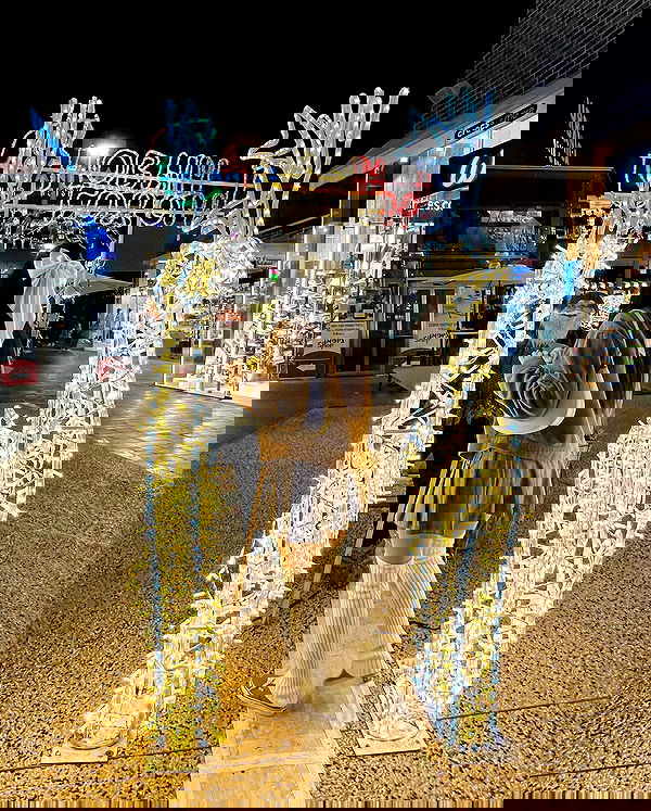 rinsrain rinsrain archive image