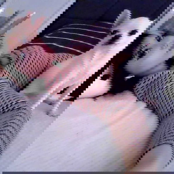 rinsrain rinsrain archive image