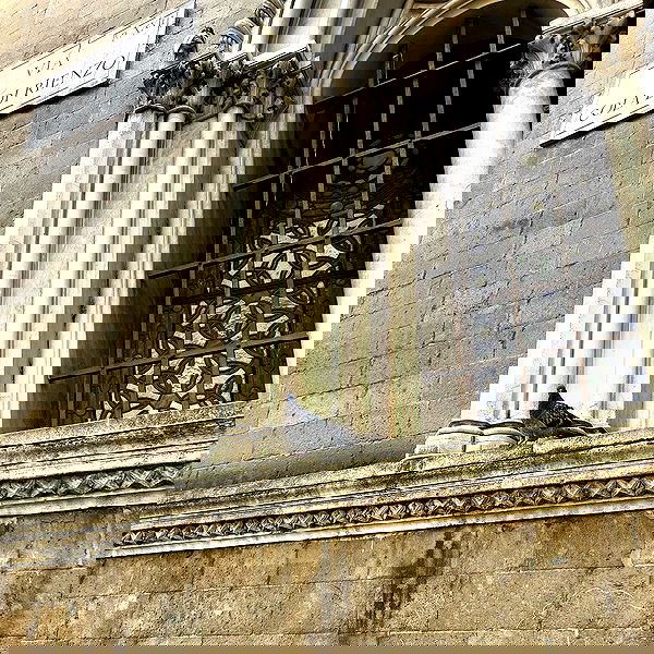 rinsrain rinsrain archive image