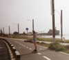 roni_ackerman Altpins Profile Picture