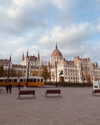 roni_ackerman Altpins Profile Picture