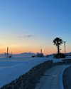 roni_ackerman Altpins Profile Picture