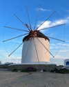 roni_ackerman Altpins Profile Picture