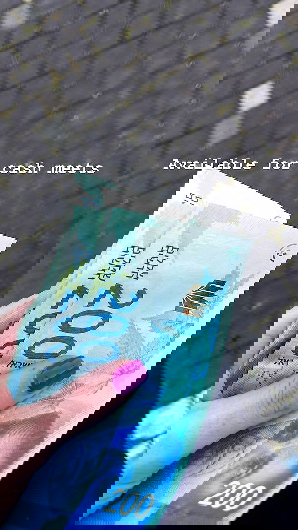 seilorkittyofficial seilorkittyofficial archive image