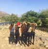 shalva.cohen Altpins Profile Picture