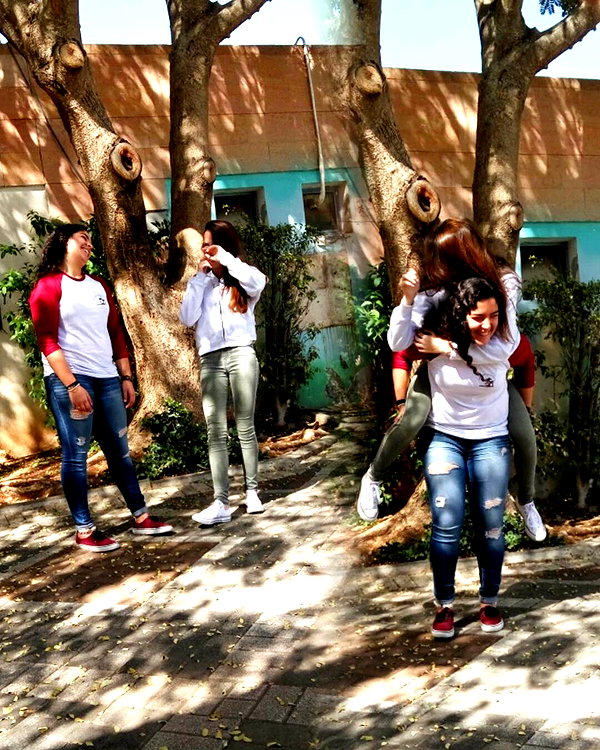 shalva.cohen instagram image archive image