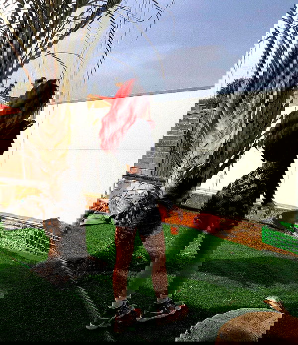 shanidahan7 image ~ Altpins