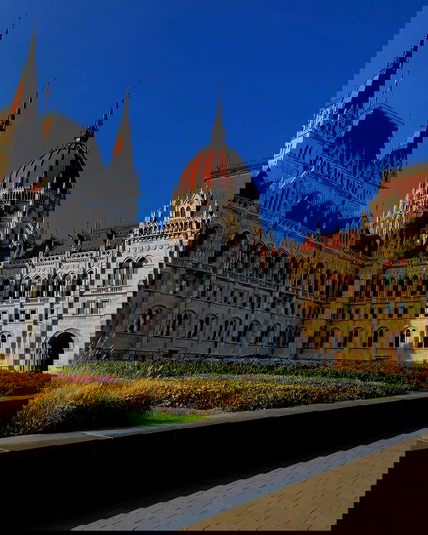 shanidahan7 image ~ Altpins