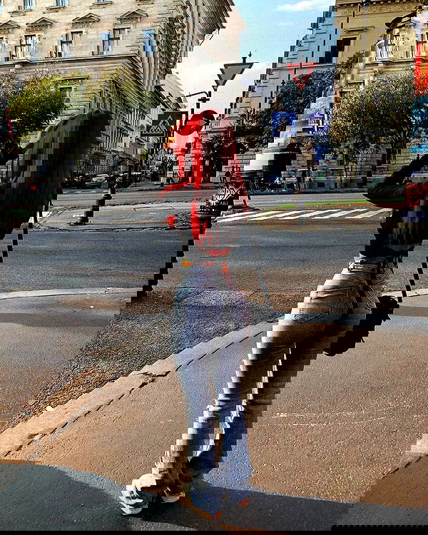 shanidahan7 image ~ Altpins