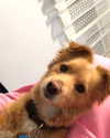 shellydekel Altpins Profile Picture