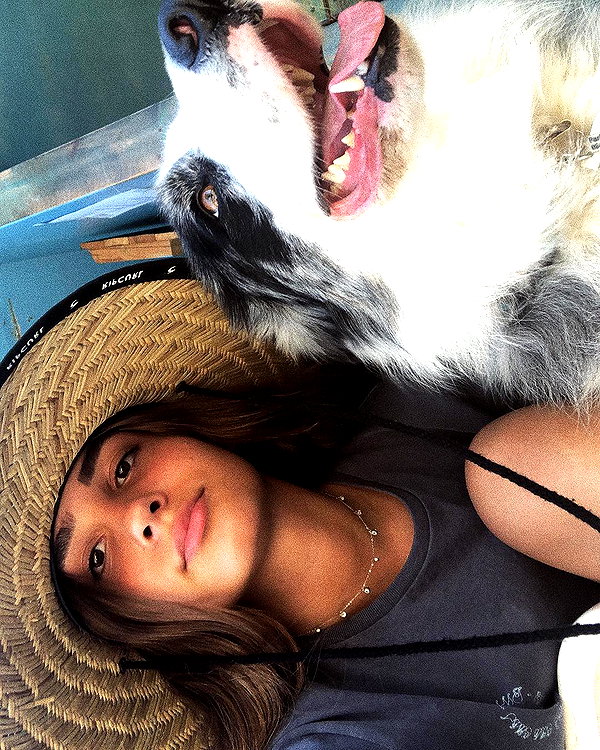 shellydekel instagram image archive image
