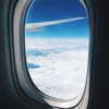 shir.moshe666 Altpins Profile Picture