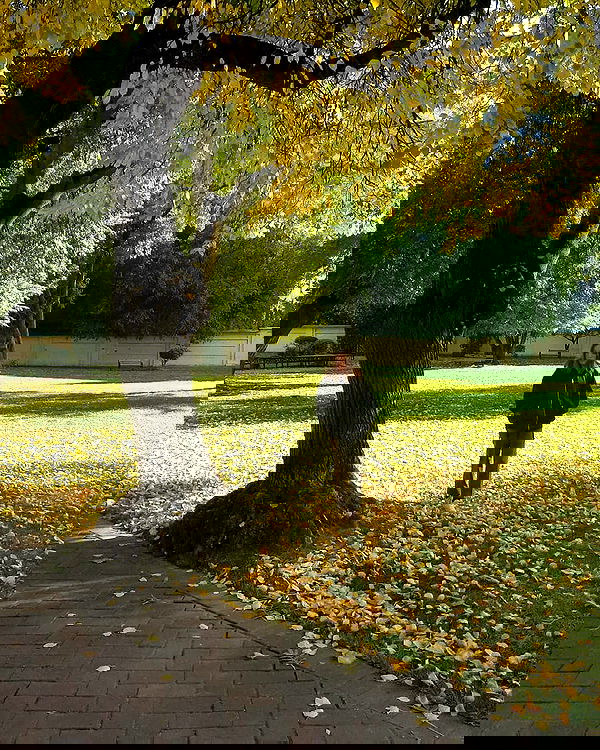 tinapavlov.sky tinapavlov.sky archive image