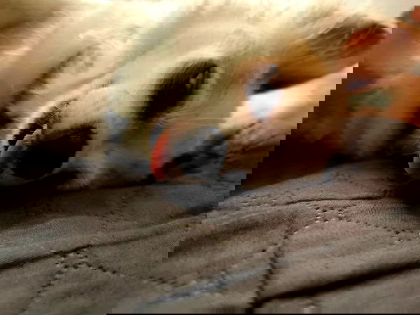 tinapavlov.sky tinapavlov.sky archive image