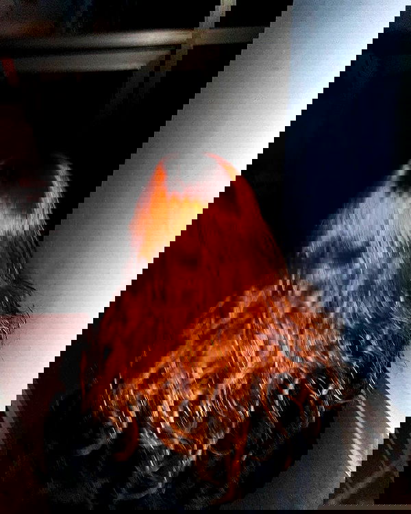 tinapavlov.sky tinapavlov.sky archive image