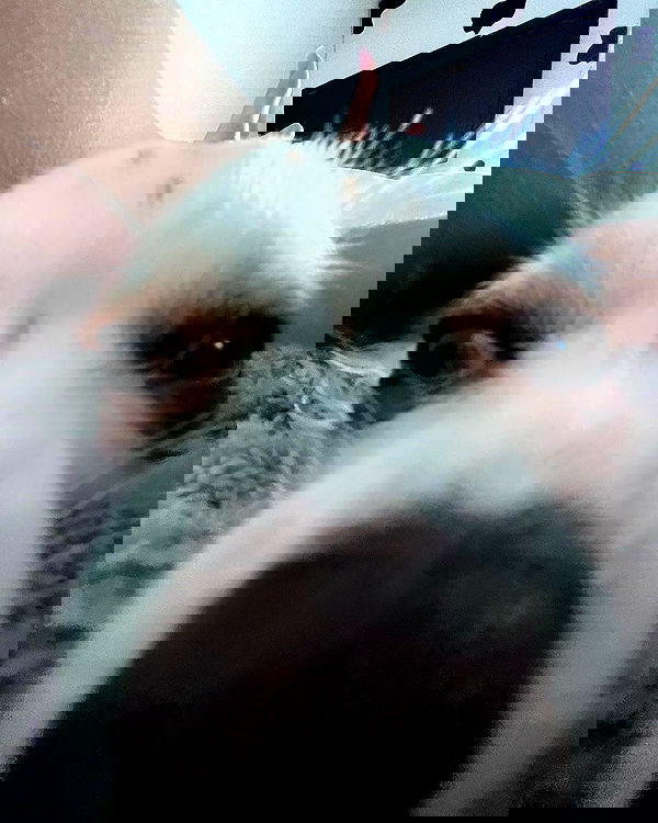 tinapavlov.sky tinapavlov.sky archive image