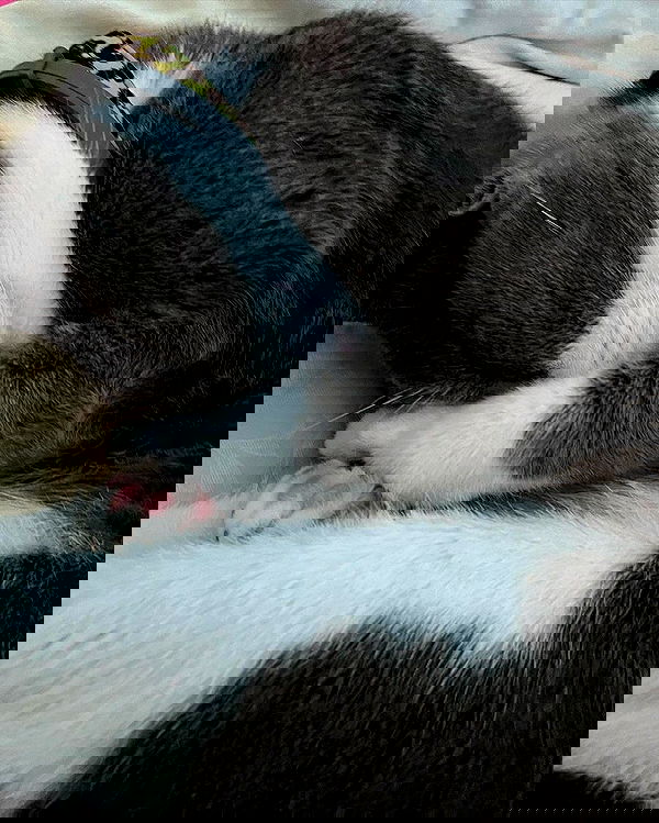 tinapavlov.sky tinapavlov.sky archive image