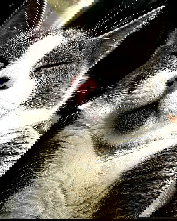 tinapavlov.sky tinapavlov.sky archive image