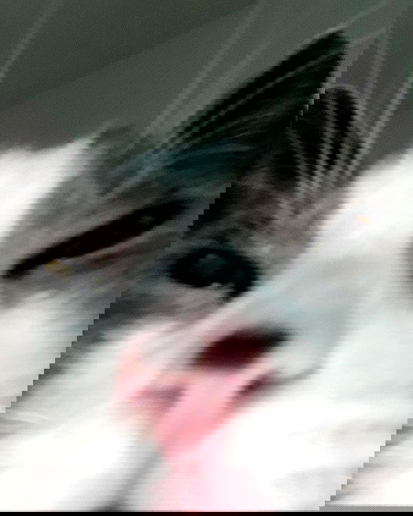 tinapavlov.sky tinapavlov.sky archive image