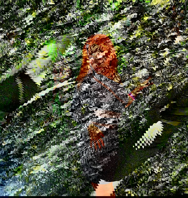 tinapavlov.sky tinapavlov.sky archive image