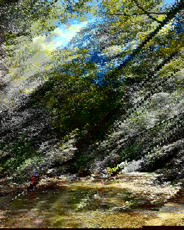 tinapavlov.sky tinapavlov.sky archive image