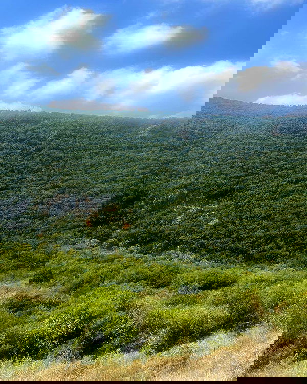 tinapavlov.sky tinapavlov.sky archive image