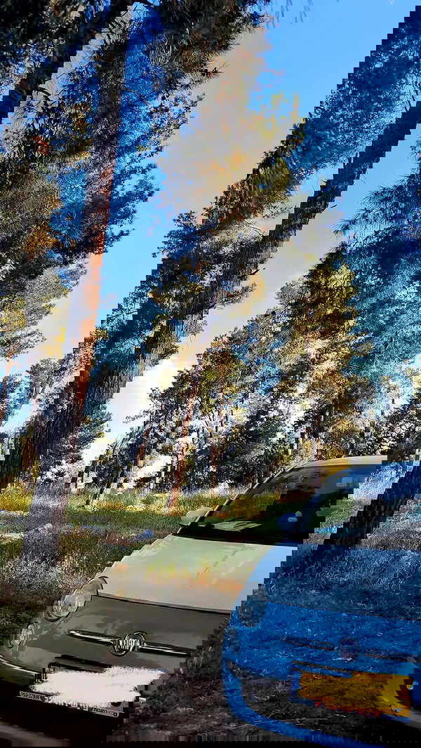 tinapavlov.sky tinapavlov.sky archive image