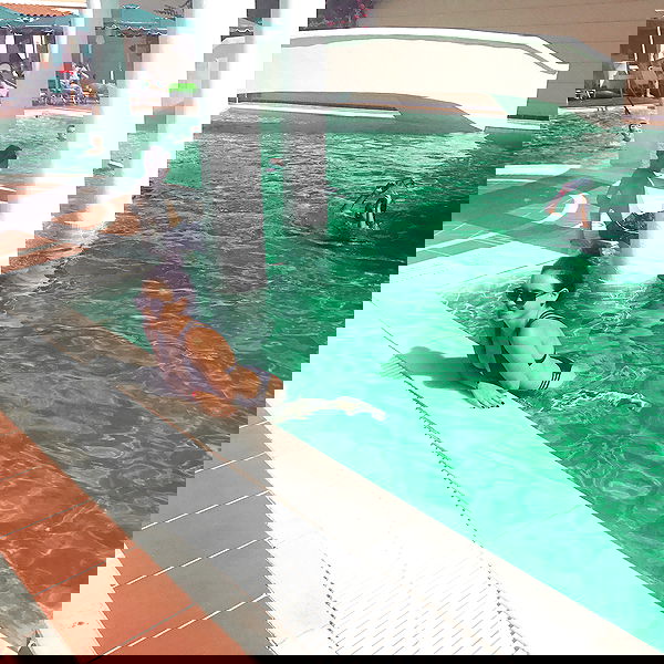 yasmin_kb yasmin_kb archive image