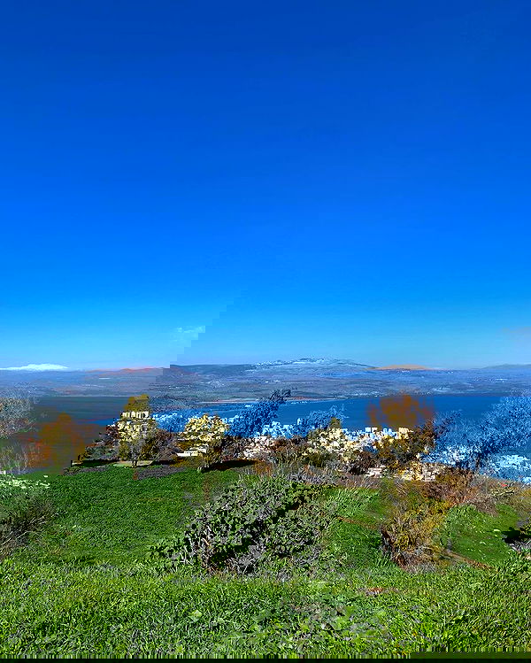 yasmin_kb yasmin_kb archive image